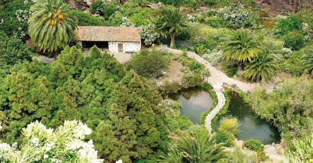 El Jardín Canario: Flora Única del Archipiélago