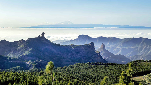 El Pico de las Nieves: El Techo de Gran Canaria