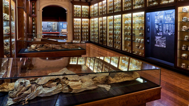 El Museo Canario: Historia de los Primeros Pobladores